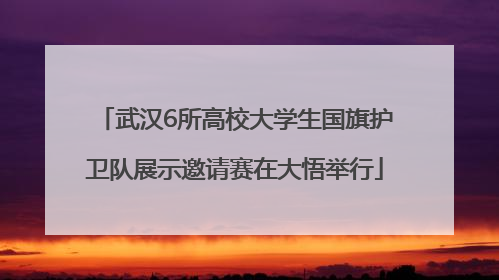 武汉6所高校大学生国旗护卫队展示邀请赛在大悟举行